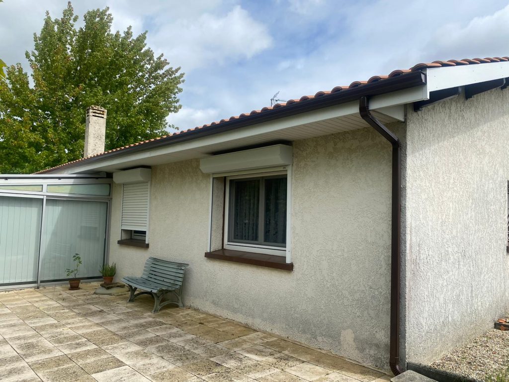 WhatsApp Image 2025-09-02 at 20.21.53